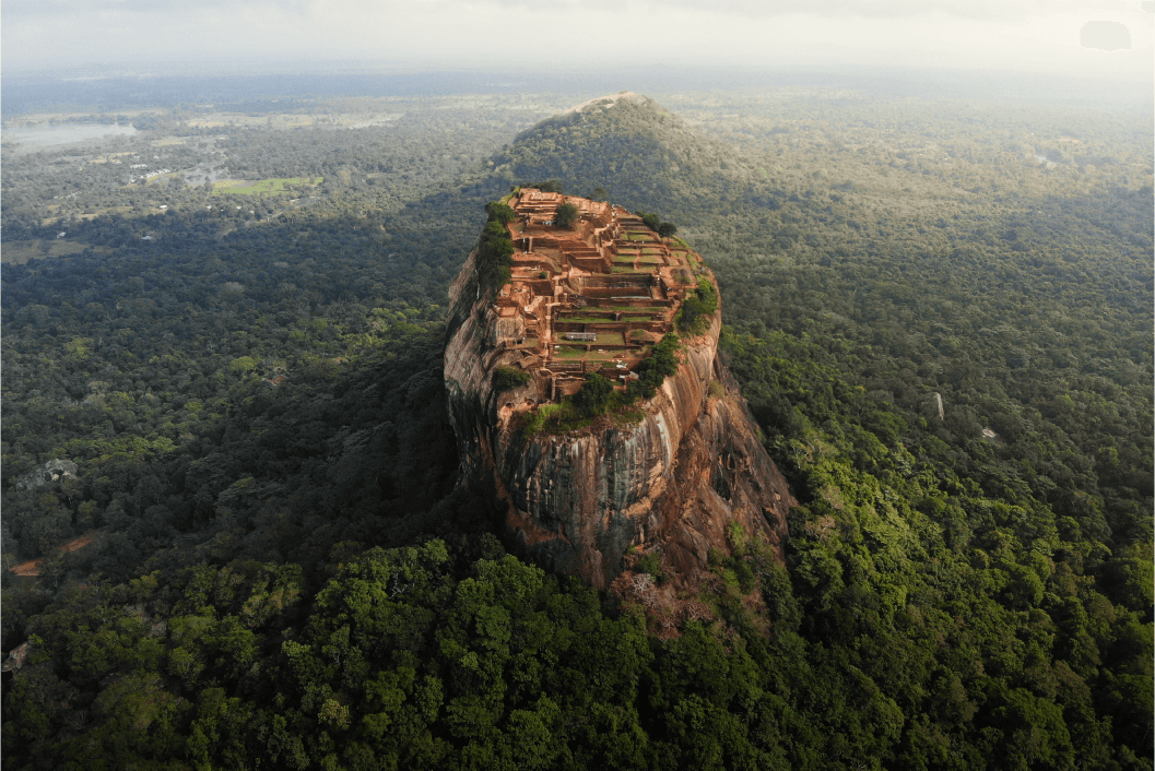 Ceylon Trailblazer