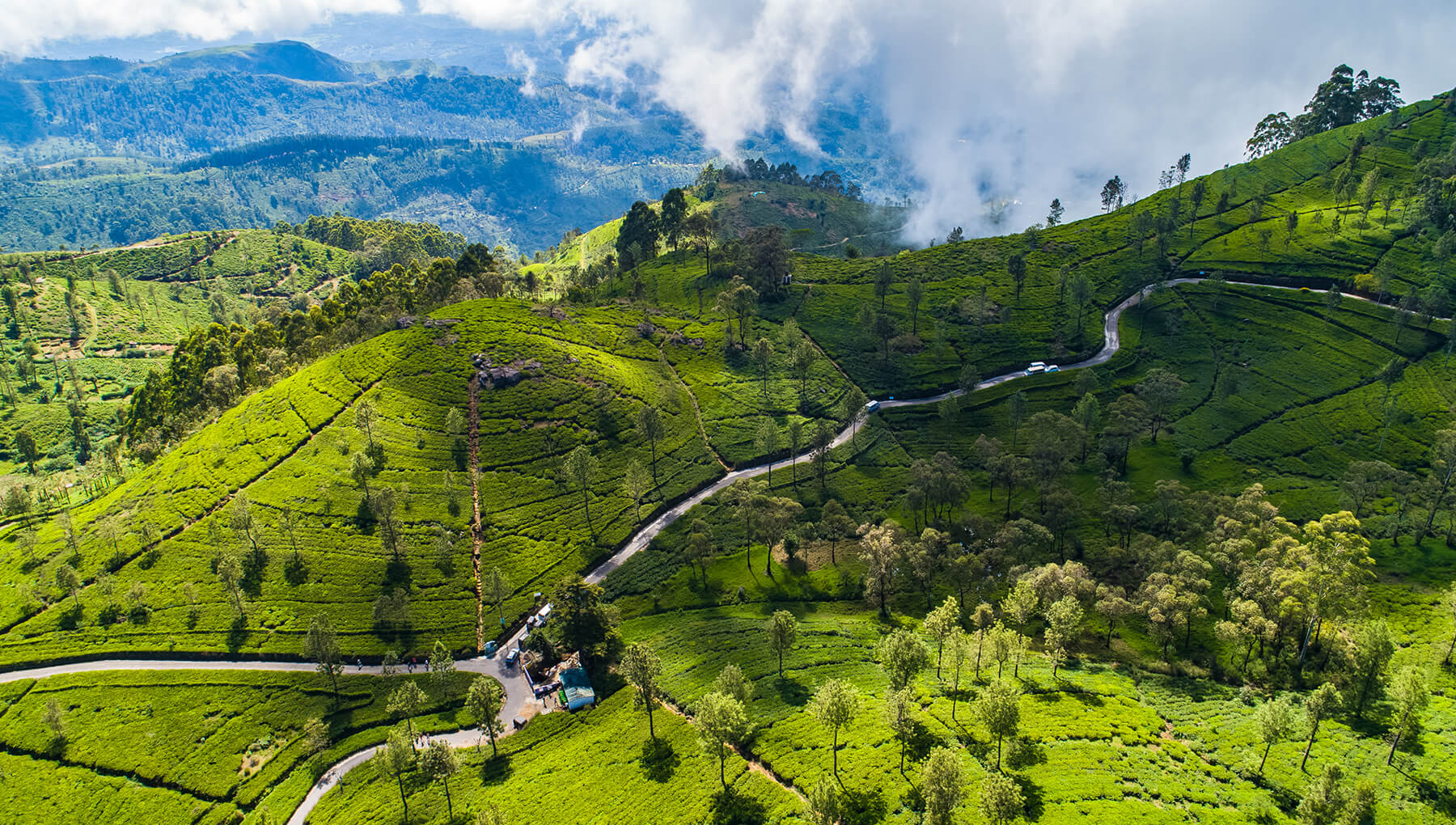 Ceylon Trailblazer – Travel & Tour Agency